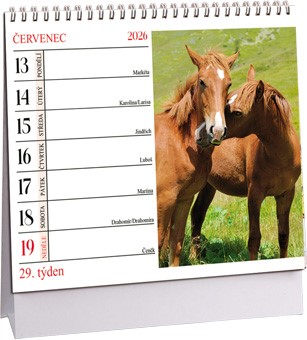 STOLNÍ MINI KALENDÁŘ - KONĚ 2026