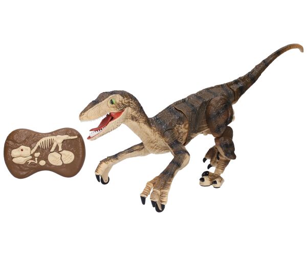 RC RAPTOR