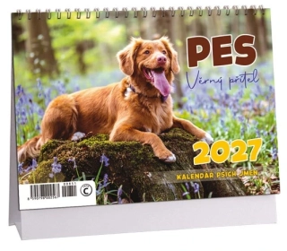 STOLNÍ KALENDÁŘ - PES, VĚRNÝ PŘÍTEL 2027