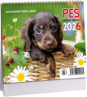 STOLNÍ MINI KALENDÁŘ - PES, VĚRNÝ PŘÍTEL 2026