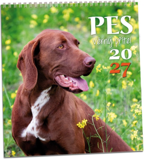 NÁSTĚNNÝ KALENDÁŘ - PES 2027