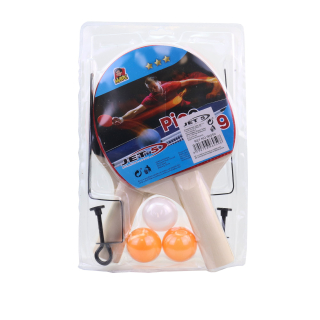 PING - PONG SADA SE SÍŤKOU