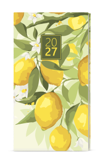 DIÁŘ TÝDENNÍ  - JAKUB 2027 / Lemon