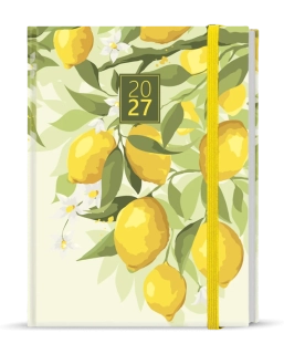 DIÁŘ DENNÍ B6  - ADAM 2027 / Lemon